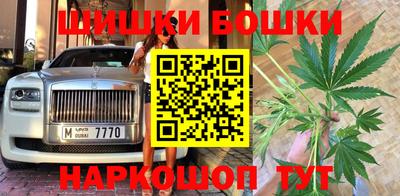 гидропоника Бийск