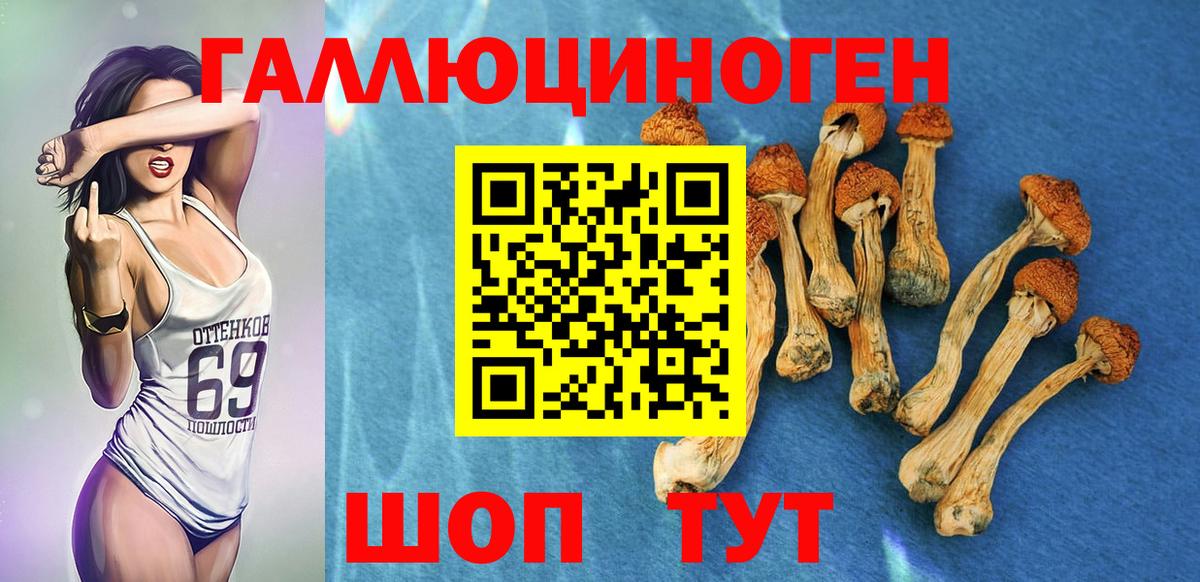 Галлюциногенные грибы Cubensis Йошкар-Ола