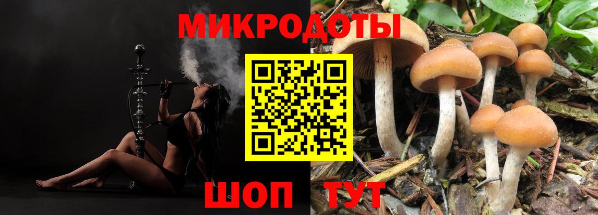 Псилоцибиновые грибы Psilocybine cubensis  Вход с VPN  Галлюциногенные грибы прущие грибы  Йошкар-Ола 